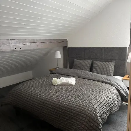 Le Point Du Jour Pensión Saint-Cergue